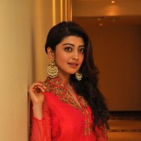 Pranitha at Love For Handloom Fashion Event Photos | Picture 1471778