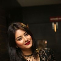 Monika Singh - O Pilla Nee Valla Movie Audio Launch Photos