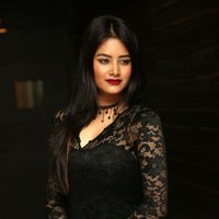Monika Singh - O Pilla Nee Valla Movie Audio Launch Photos | Picture 1472627