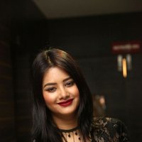 Monika Singh - O Pilla Nee Valla Movie Audio Launch Photos | Picture 1472682
