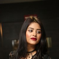 Monika Singh - O Pilla Nee Valla Movie Audio Launch Photos | Picture 1472677
