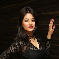 Monika Singh - O Pilla Nee Valla Movie Audio Launch Photos | Picture 1472652