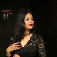 Monika Singh - O Pilla Nee Valla Movie Audio Launch Photos | Picture 1472624