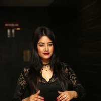 Monika Singh - O Pilla Nee Valla Movie Audio Launch Photos | Picture 1472623