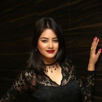 Monika Singh - O Pilla Nee Valla Movie Audio Launch Photos | Picture 1472654