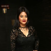 Monika Singh - O Pilla Nee Valla Movie Audio Launch Photos | Picture 1472639