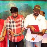 Maa Abbayi Telugu Movie Audio Release Function Photos | Picture 1474482