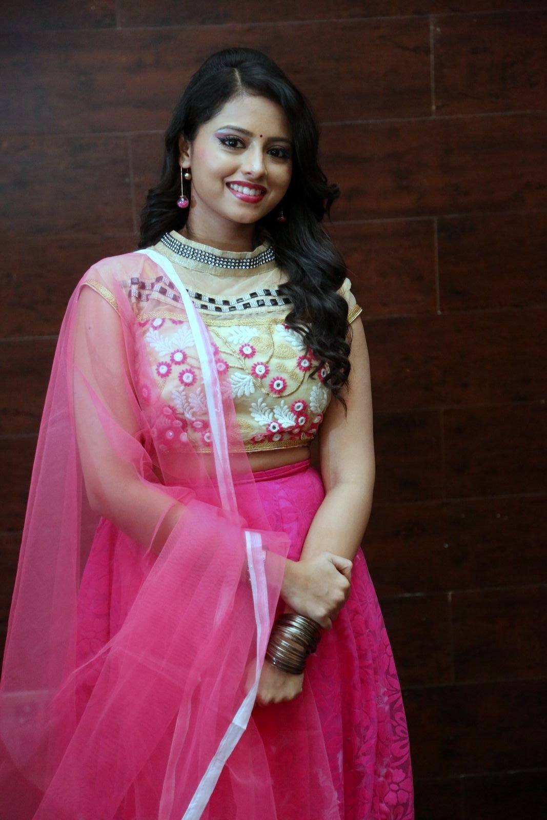 Geethanjali at Mixture Potlam Audio Release Function Images | Picture 1475328