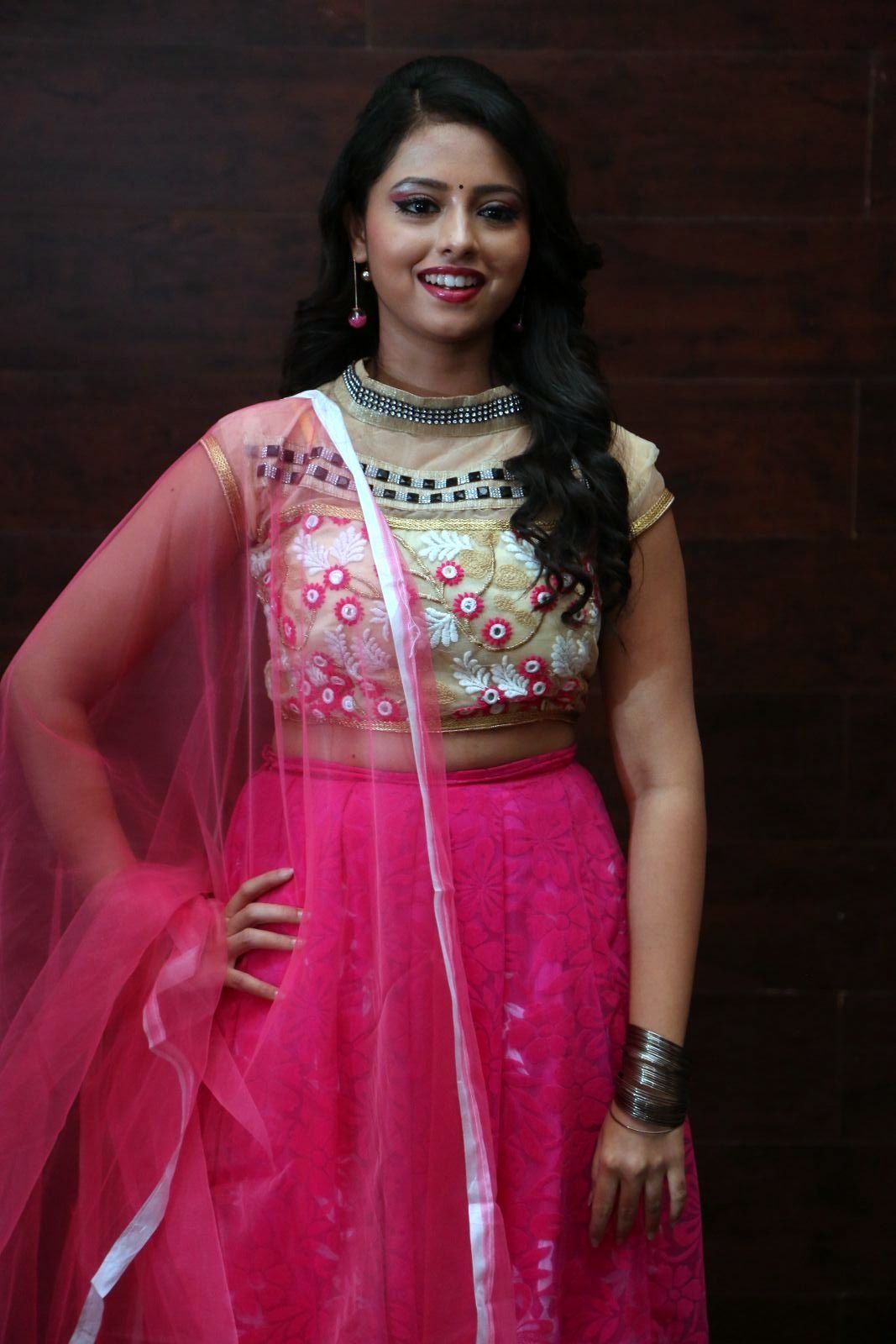 Geethanjali at Mixture Potlam Audio Release Function Images | Picture 1475315