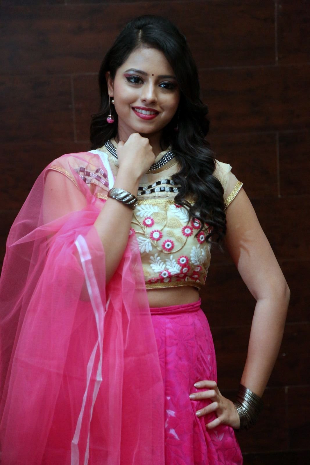Geethanjali at Mixture Potlam Audio Release Function Images | Picture 1475342
