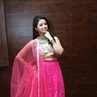 Geethanjali at Mixture Potlam Audio Release Function Images | Picture 1475337