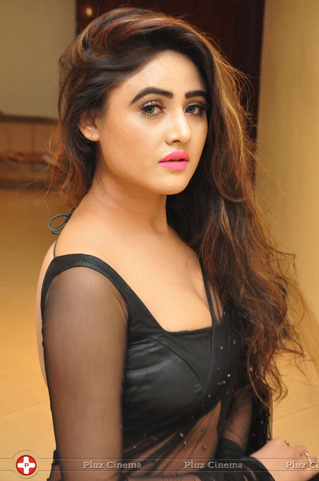 Sony Charishta Hot In Transparent Black Saree Photos | Picture 1457336