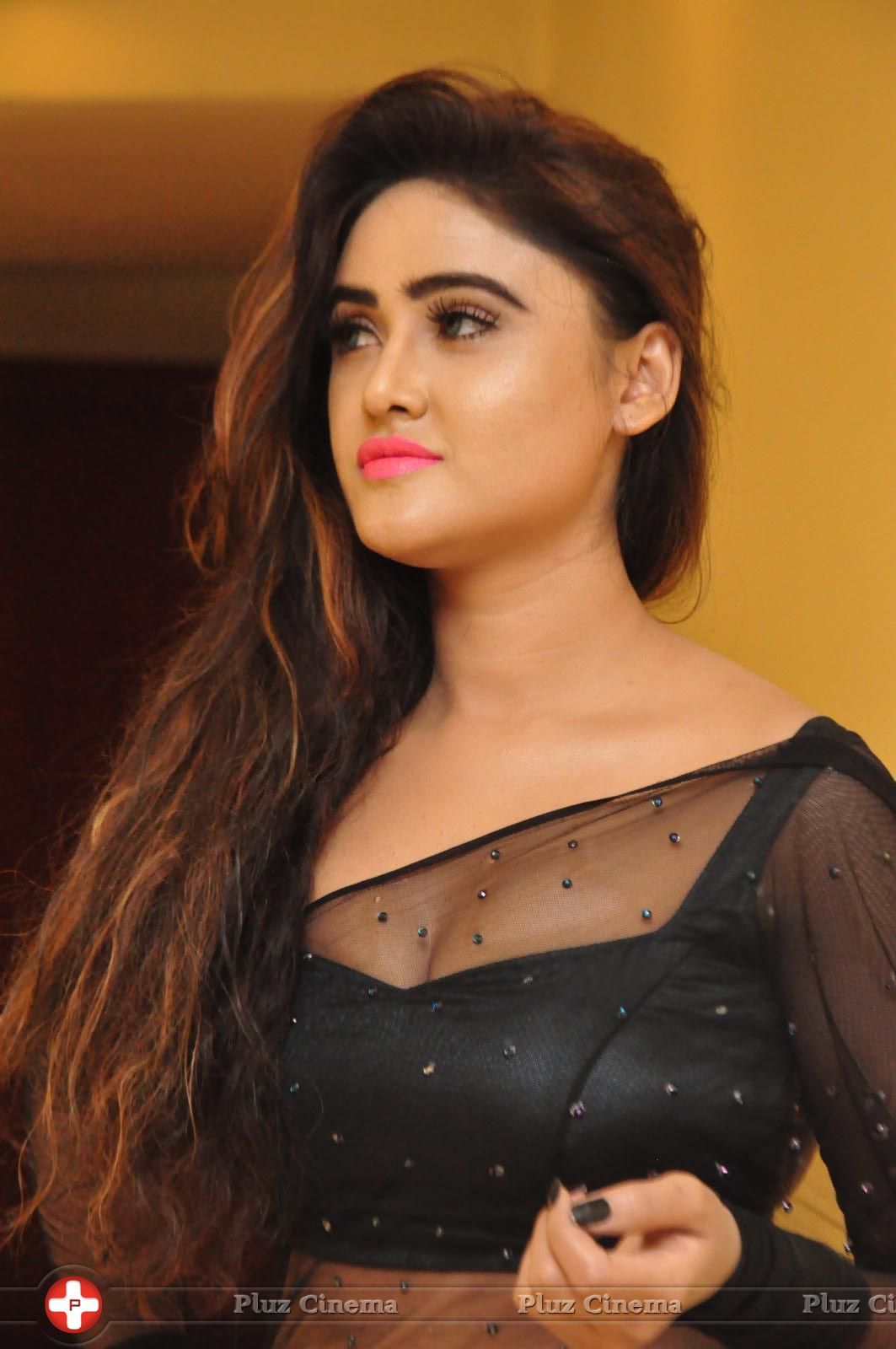 Sony Charishta Hot In Transparent Black Saree Photos | Picture 1457268