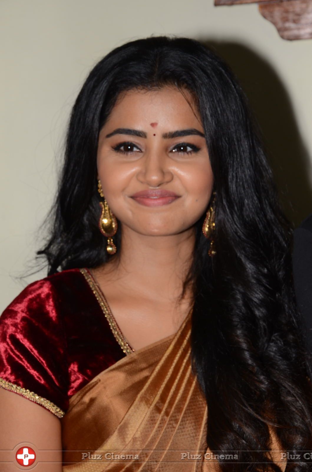 Anupama Parameswaran - Shatamanam Bhavati Team at Sandhya Theater Photos | Picture 1461298