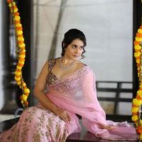 Raashi Khanna in Transparent Pink Saree Photos | Picture 1461439