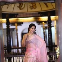 Raashi Khanna in Transparent Pink Saree Photos | Picture 1461442