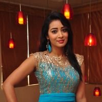 Telugu Actress Bhanu Tripathi Latest Photos | Picture 1463471