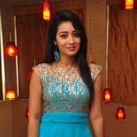 Telugu Actress Bhanu Tripathi Latest Photos | Picture 1463466