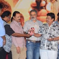 Mande Suryudu Movie Audio Launch Photos | Picture 1464219
