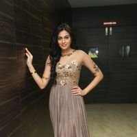 Neha Hinge at Srivalli Audio Launch Function Photos | Picture 1464910
