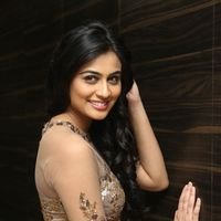 Neha Hinge at Srivalli Audio Launch Function Photos | Picture 1464879