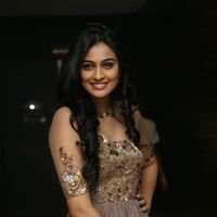 Neha Hinge at Srivalli Audio Launch Function Photos | Picture 1464852