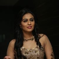Neha Hinge at Srivalli Audio Launch Function Photos | Picture 1464827