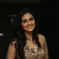 Neha Hinge at Srivalli Audio Launch Function Photos | Picture 1464856