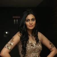 Neha Hinge at Srivalli Audio Launch Function Photos | Picture 1464858