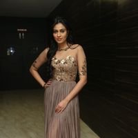 Neha Hinge at Srivalli Audio Launch Function Photos | Picture 1464837