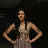 Neha Hinge at Srivalli Audio Launch Function Photos | Picture 1464820