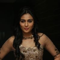 Neha Hinge at Srivalli Audio Launch Function Photos | Picture 1464828