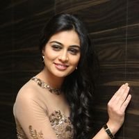 Neha Hinge at Srivalli Audio Launch Function Photos | Picture 1464882