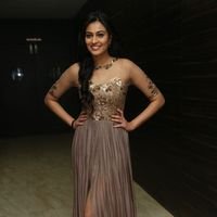 Neha Hinge at Srivalli Audio Launch Function Photos | Picture 1464819