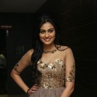 Neha Hinge at Srivalli Audio Launch Function Photos | Picture 1464832