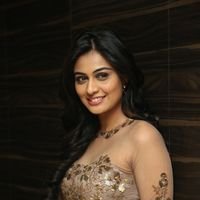 Neha Hinge at Srivalli Audio Launch Function Photos | Picture 1464872