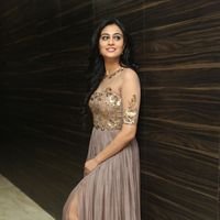 Neha Hinge at Srivalli Audio Launch Function Photos | Picture 1464865