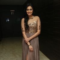 Neha Hinge at Srivalli Audio Launch Function Photos | Picture 1464818