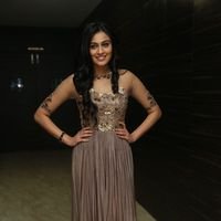 Neha Hinge at Srivalli Audio Launch Function Photos | Picture 1464822