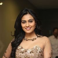 Neha Hinge at Srivalli Audio Launch Function Photos | Picture 1464807