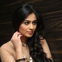 Neha Hinge at Srivalli Audio Launch Function Photos | Picture 1464891