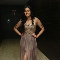 Neha Hinge at Srivalli Audio Launch Function Photos | Picture 1464841