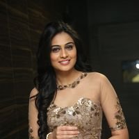 Neha Hinge at Srivalli Audio Launch Function Photos | Picture 1464926