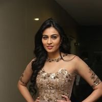 Neha Hinge at Srivalli Audio Launch Function Photos | Picture 1464815
