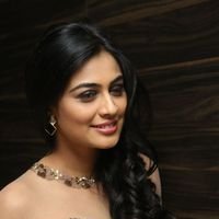 Neha Hinge at Srivalli Audio Launch Function Photos | Picture 1464890