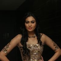 Neha Hinge at Srivalli Audio Launch Function Photos | Picture 1464829