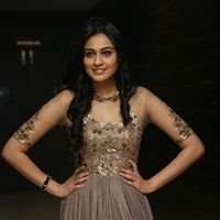 Neha Hinge at Srivalli Audio Launch Function Photos | Picture 1464849