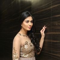 Neha Hinge at Srivalli Audio Launch Function Photos | Picture 1464875