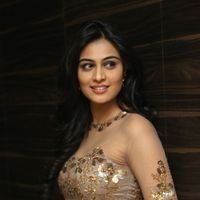 Neha Hinge at Srivalli Audio Launch Function Photos | Picture 1464868
