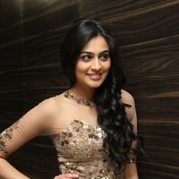 Neha Hinge at Srivalli Audio Launch Function Photos | Picture 1464903